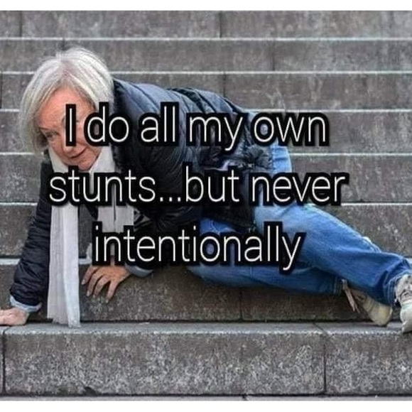 Meet your Posher, Sheila - Picture 4 of 4